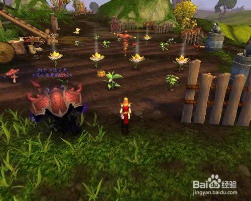 黄金莲哪里多？黄金莲怎么种？黄金莲有什么用