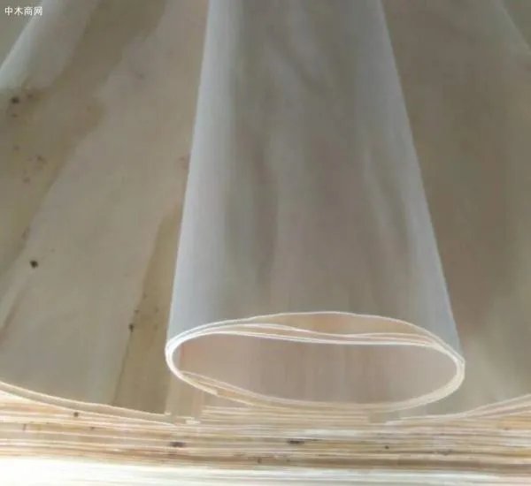 杨木木皮价格谁知道啊 进来看下！！