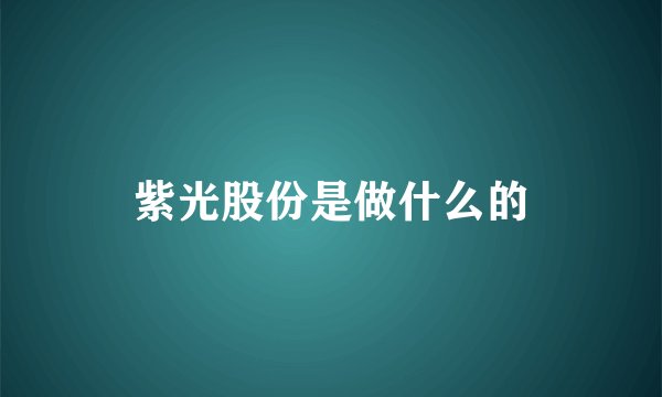 紫光股份是做什么的