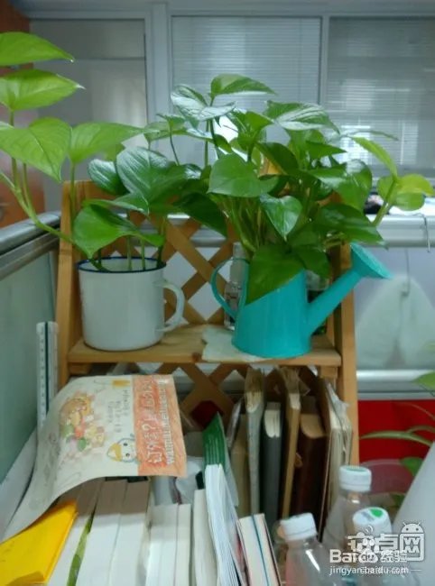 小米4怎么样 小米4评测