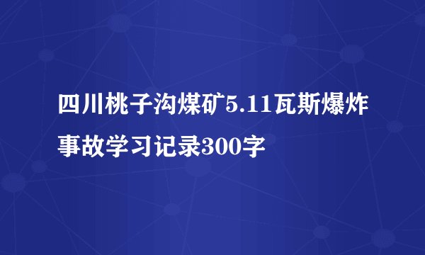 四川桃子沟煤矿5.11瓦斯爆炸事故学习记录300字