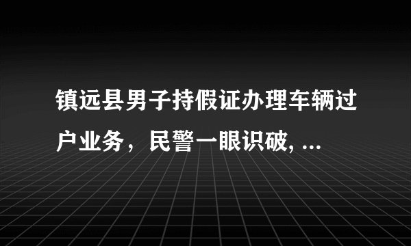 镇远县男子持假证办理车辆过户业务，民警一眼识破, 你怎么看？