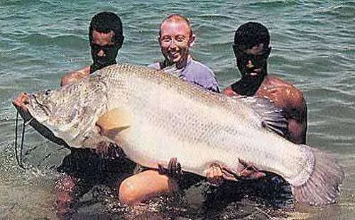 世界十大凶猛淡水鱼有什么？它们分别有什么特点？