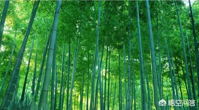 高考生午休校方未叫醒致缺考，江西考生小龚获学校2.6万元赔偿，你怎么看？