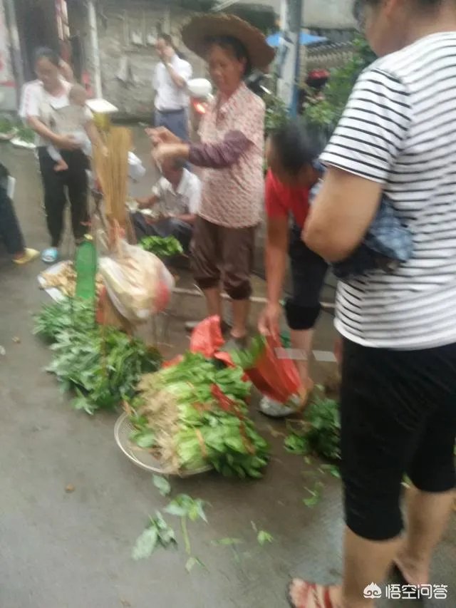 菜价连续8周上涨，近期涨得尤其厉害，你怎么看？
