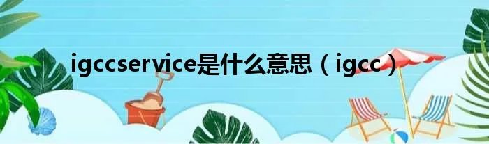 igccservice是什么意思（igcc）