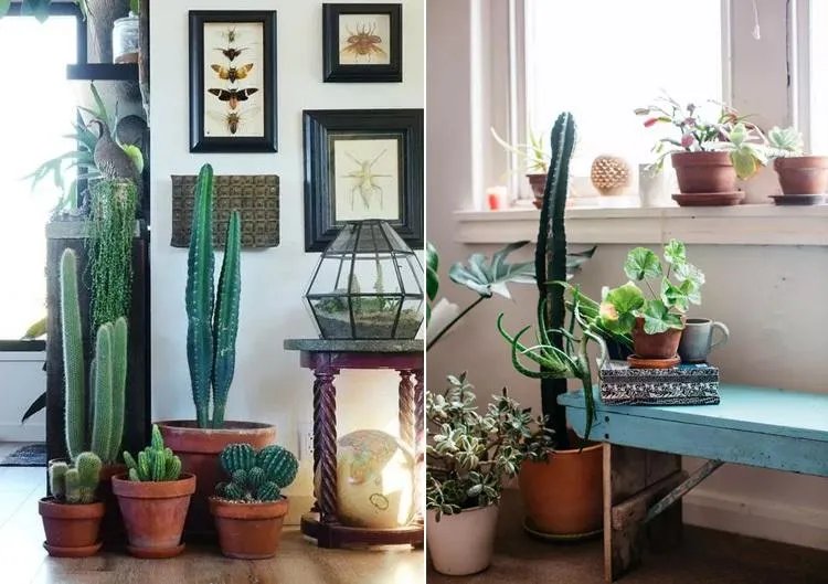 除甲醛多少钱一平？