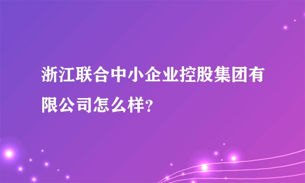 浙江联合中小企业控股集团有限公司怎么样？