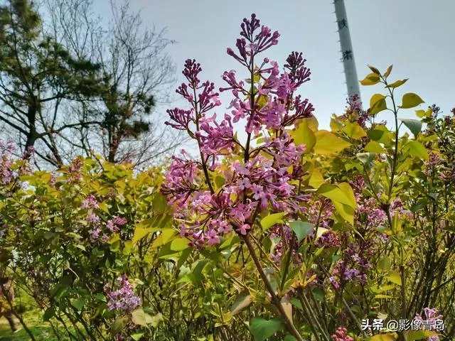 今年五一天津人能跨省旅游吗？