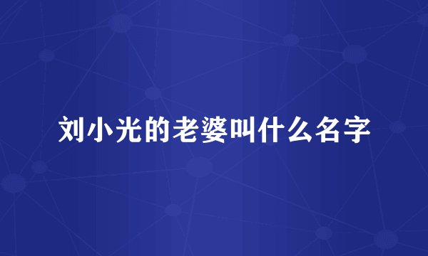 刘小光的老婆叫什么名字