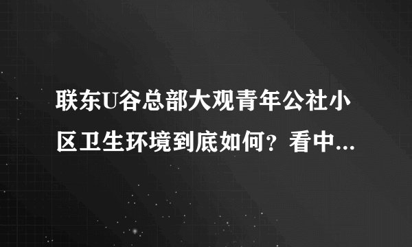 联东U谷总部大观青年公社小区卫生环境到底如何？看中了这边的一套房子，但是总觉得环境有点乱乱的，想问下平常有保洁打扫吗？