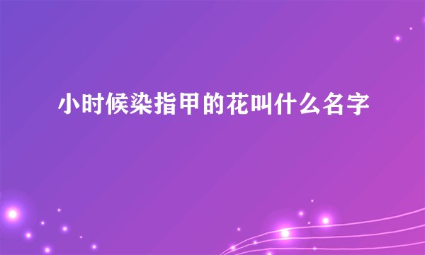 小时候染指甲的花叫什么名字