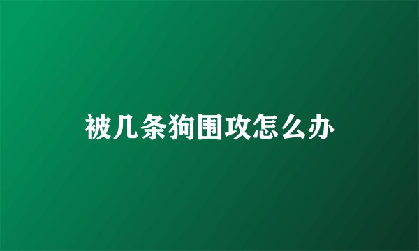 被几条狗围攻怎么办