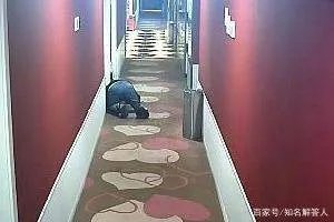 已婚男在宾馆隔门趴地偷听，男子：为满足心理需要，你还敢住宾馆吗？