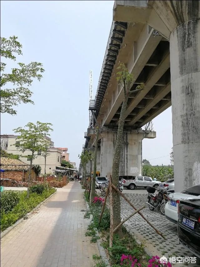 粤西高铁票价为什么贵？