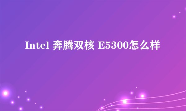 Intel 奔腾双核 E5300怎么样