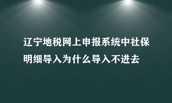 辽宁地税网上申报系统中社保明细导入为什么导入不进去