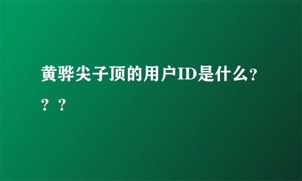 黄骅尖子顶的用户ID是什么？？？