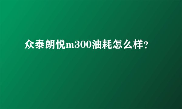 众泰朗悦m300油耗怎么样？