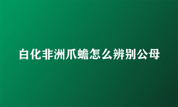 白化非洲爪蟾怎么辨别公母