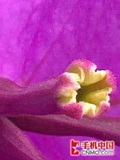 令人惊艳的的500万 诺基亚E72样张解析