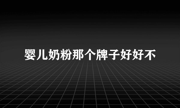 婴儿奶粉那个牌子好好不