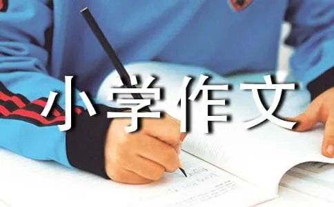 三年级小学作文