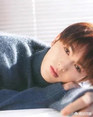 想知道朱正廷在NPC和NEXT里分别的定位是什么？