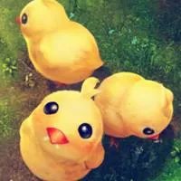 《剑网3》宠物鸡小萌获取方式及刷新地点