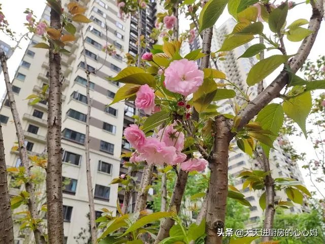 疫情会在四月份彻底结束吗？