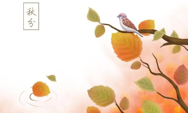 24节气之秋分简笔画 秋分主题简笔画图片大全