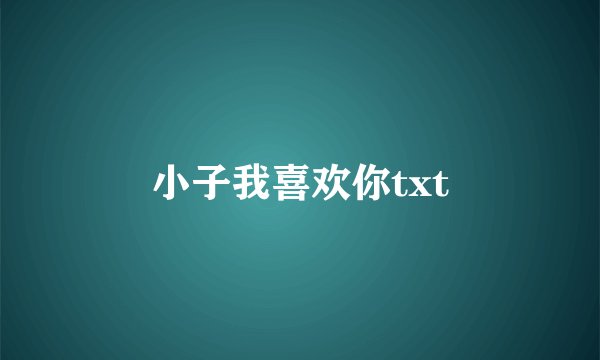 小子我喜欢你txt
