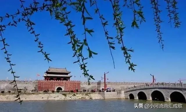 您认为中医药的进一步发展应从哪个方面入手？