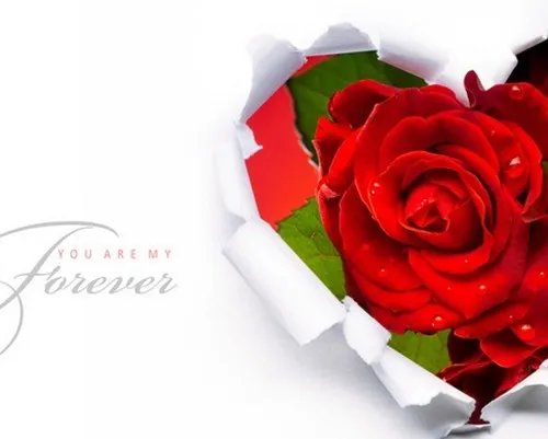 二十二周年青铜婚感言  结婚22周年纪念感言