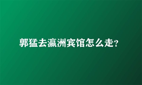 郭猛去瀛洲宾馆怎么走？