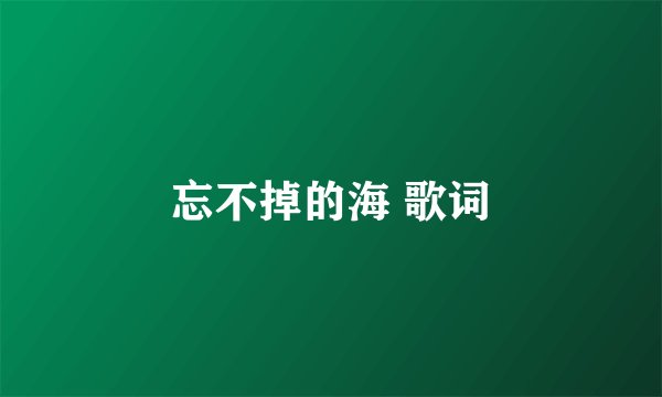 忘不掉的海 歌词