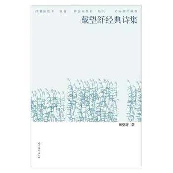 戴望舒烦忧原文及赏析