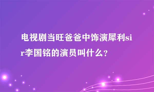 电视剧当旺爸爸中饰演犀利sir李国铭的演员叫什么？