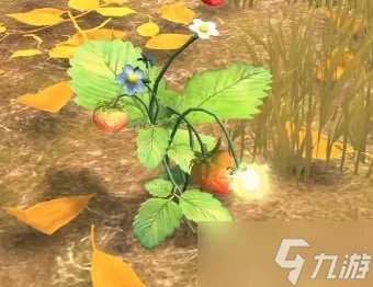 夺笋高手九转还魂芝获取攻略