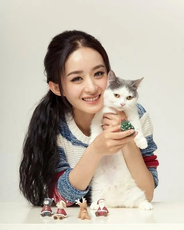 你知道哪些明星，在家养有什么样的宠物呢？