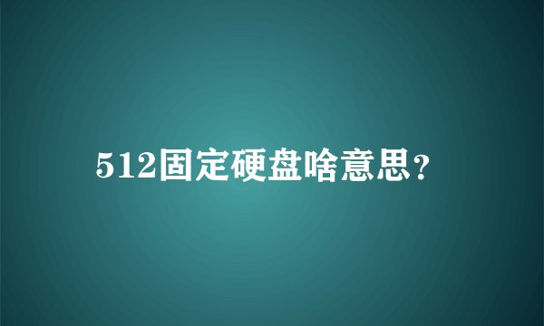 512固定硬盘啥意思？