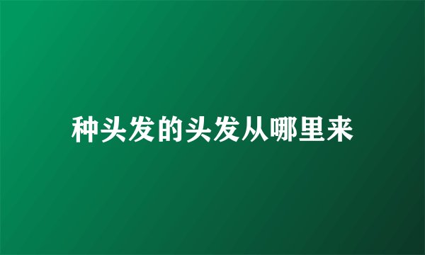 种头发的头发从哪里来