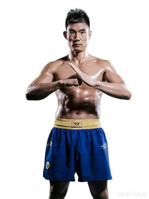 你觉得散打领域里,方便、白近斌、张开印和付高峰谁实力最强?为什么?