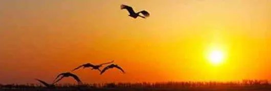 人去世后为什么要盖住脸