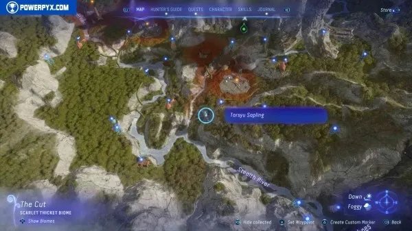 《阿凡达潘多拉边境》塔休幼苗位置汇总 塔休幼苗收集攻略