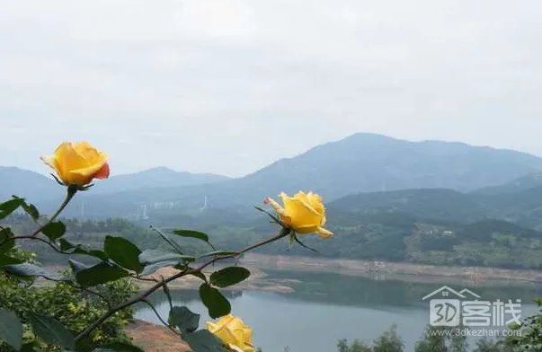 泉港绿笛山庄的简介