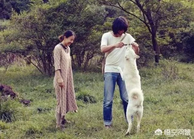 为什么李孝利炫富不招人讨厌？