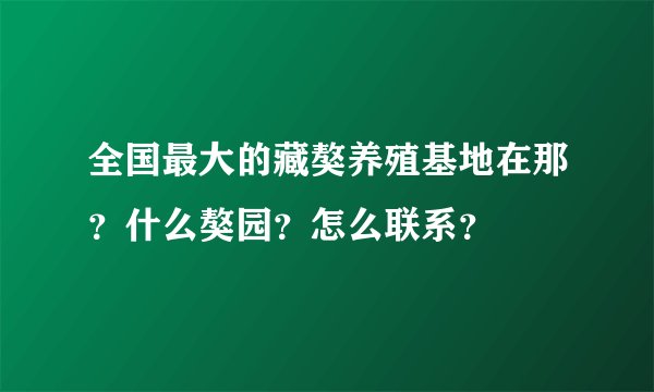 全国最大的藏獒养殖基地在那？什么獒园？怎么联系？