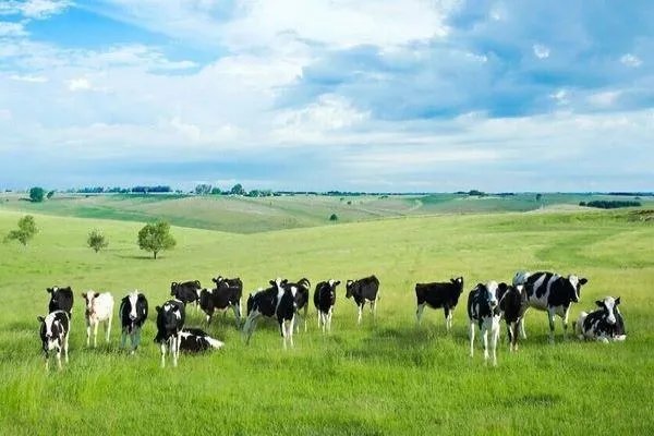 蒙古国有着得天独厚的优势，资源丰富，为何他们经济却不发达？