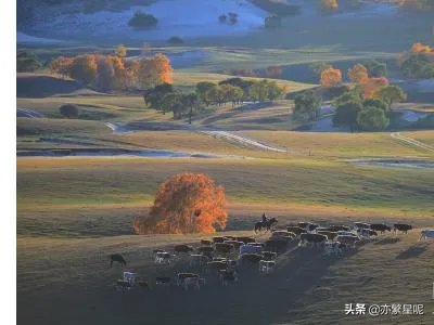 内蒙古有什么好玩的地方内蒙古旅游攻略？